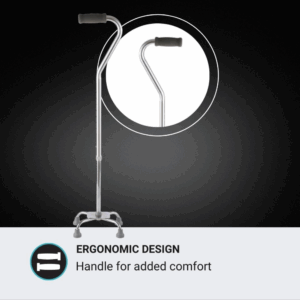 Mx Walking Stick Quad